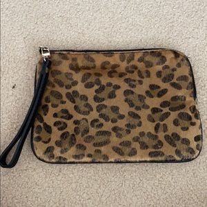 Cheetah clutch